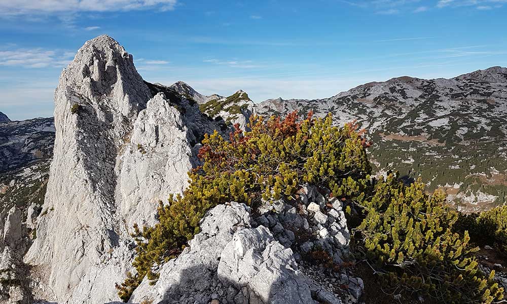 Dreibrüderkogel