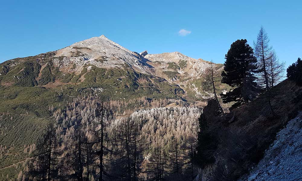 Gollitschspitze