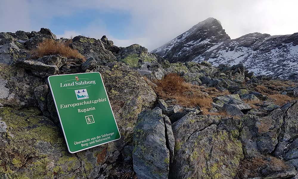 Gollitschspitze