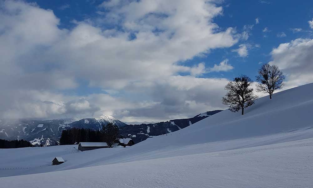 Schneerosenhügel