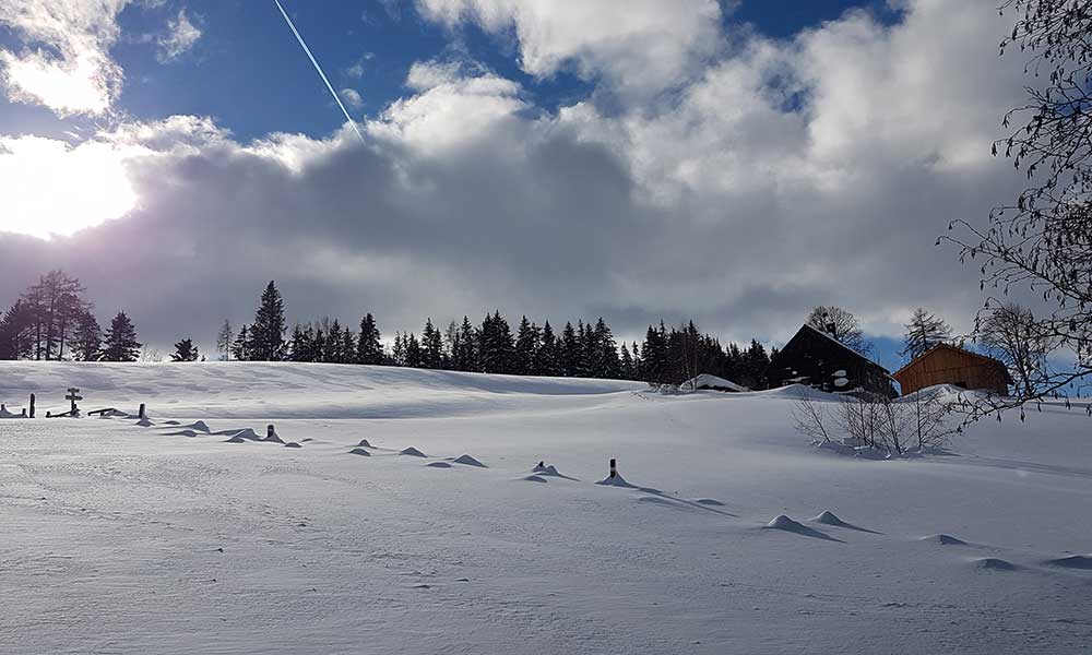 Schneerosenhügel