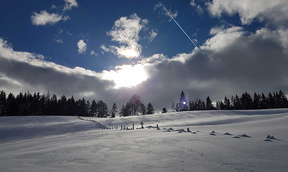 Schneerosenhügel