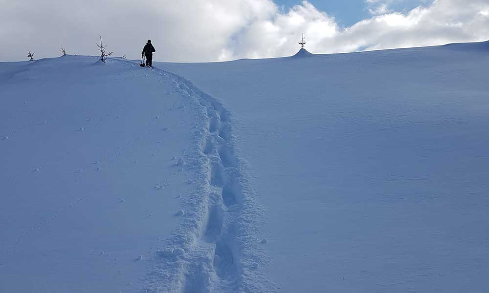 Schneerosenhügel