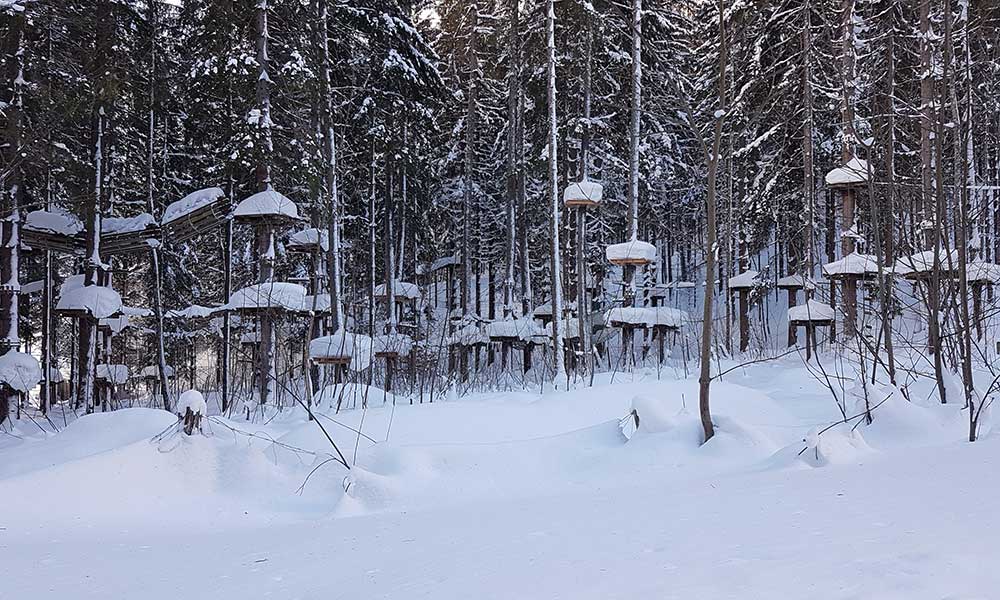 Schneerosenhügel