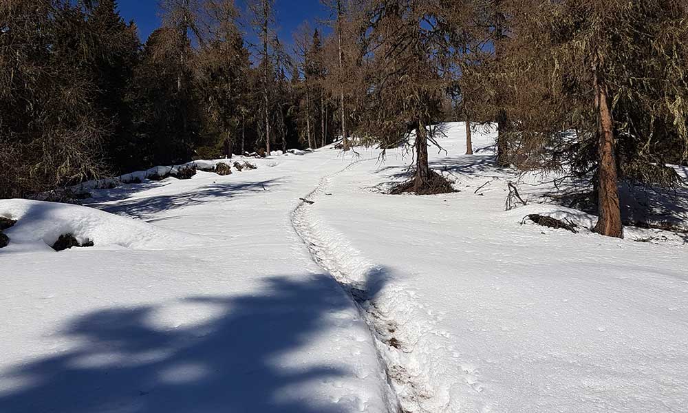 Kramerkogel