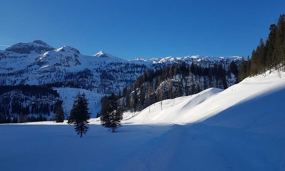 Scheibenkogel