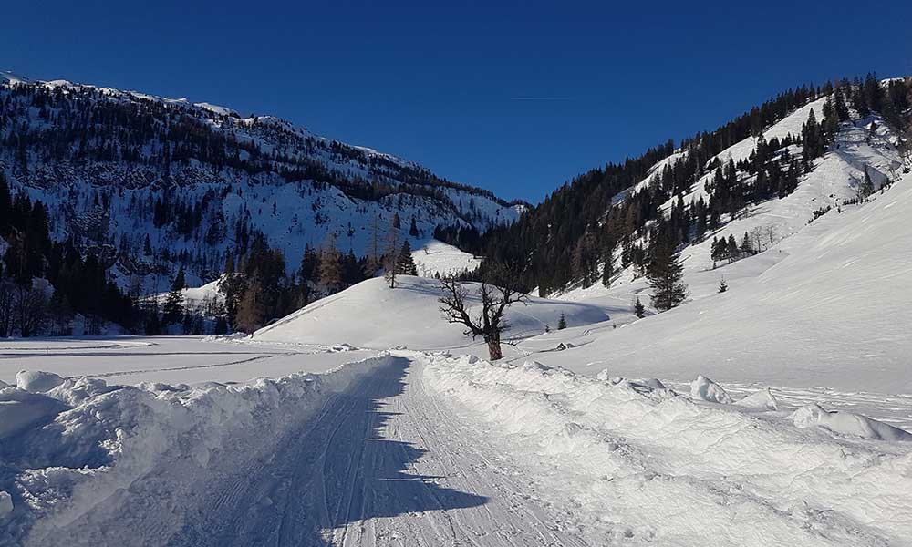 Scheibenkogel