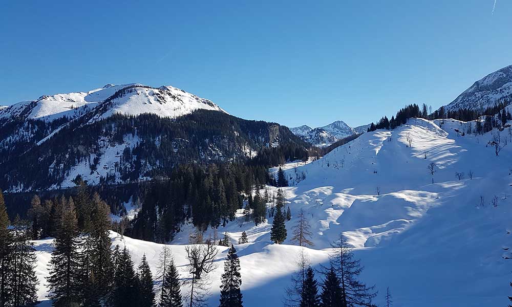 Scheibenkogel