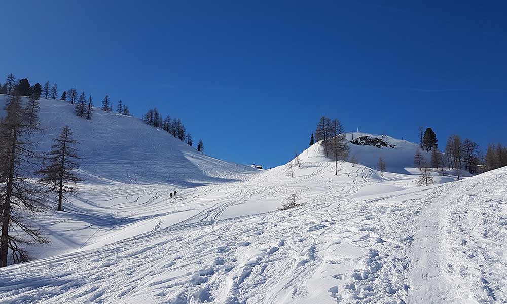 Scheibenkogel