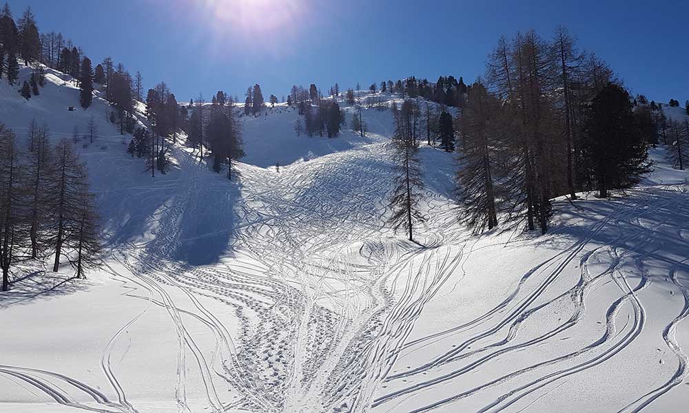 Scheibenkogel