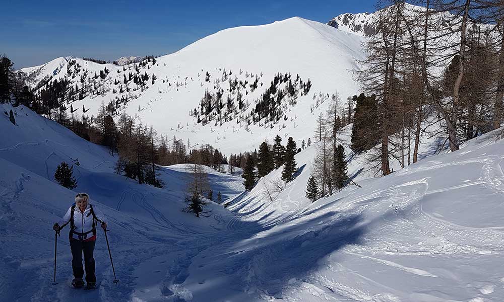 Scheibenkogel