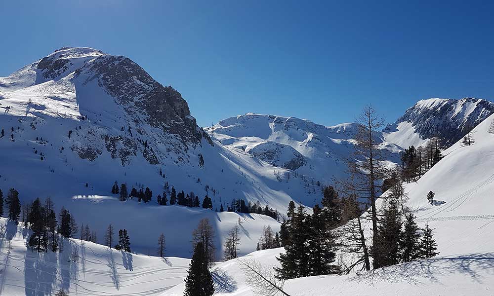 Scheibenkogel