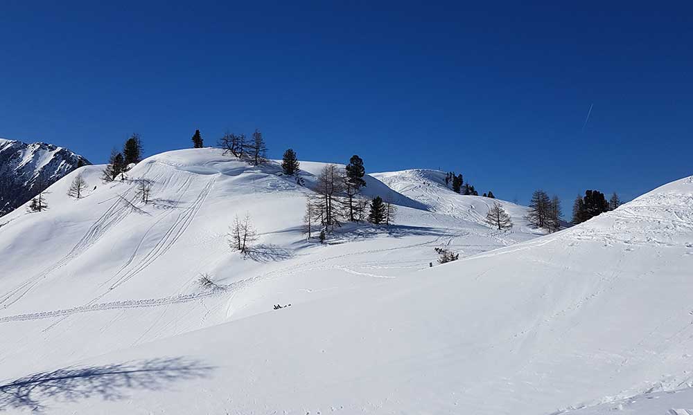 Scheibenkogel