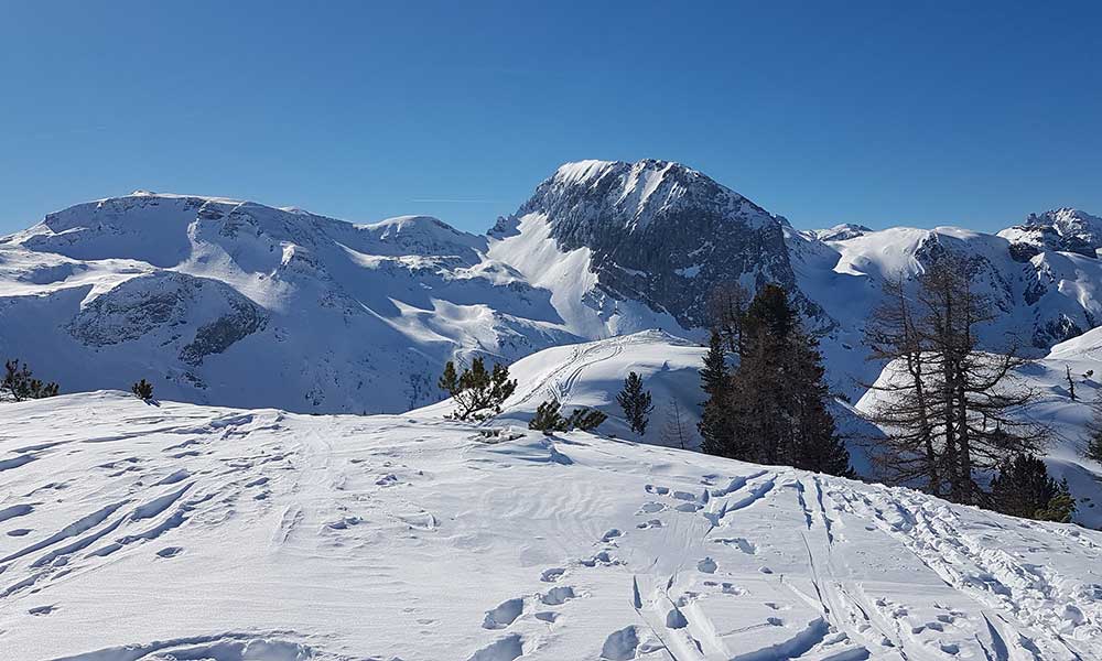 Scheibenkogel