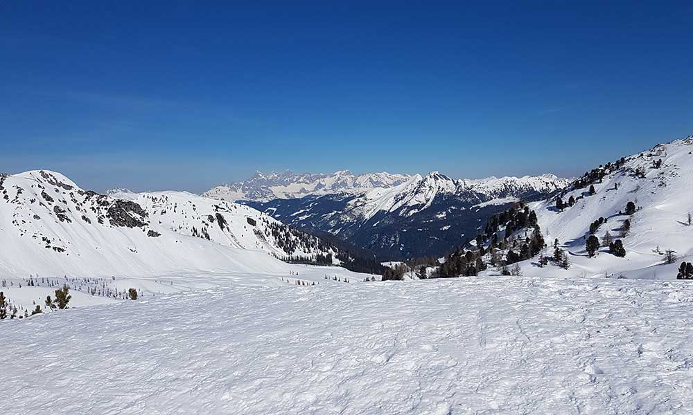 Scheibenkogel