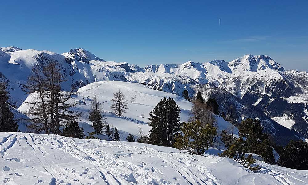 Scheibenkogel