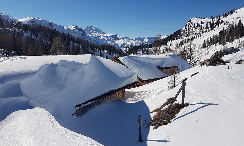 Scheibenkogel