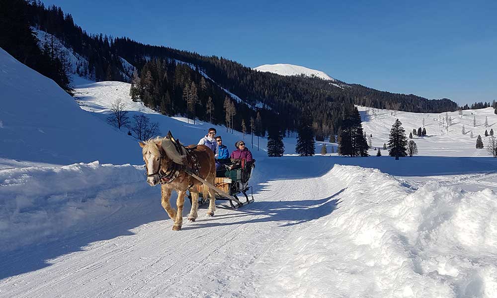 Scheibenkogel