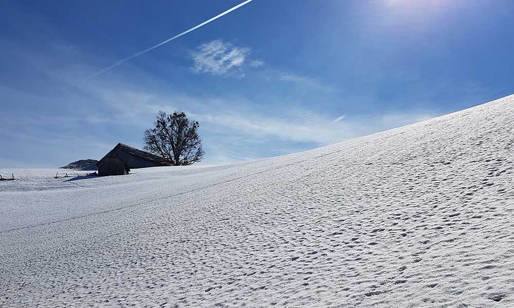 Freienstein