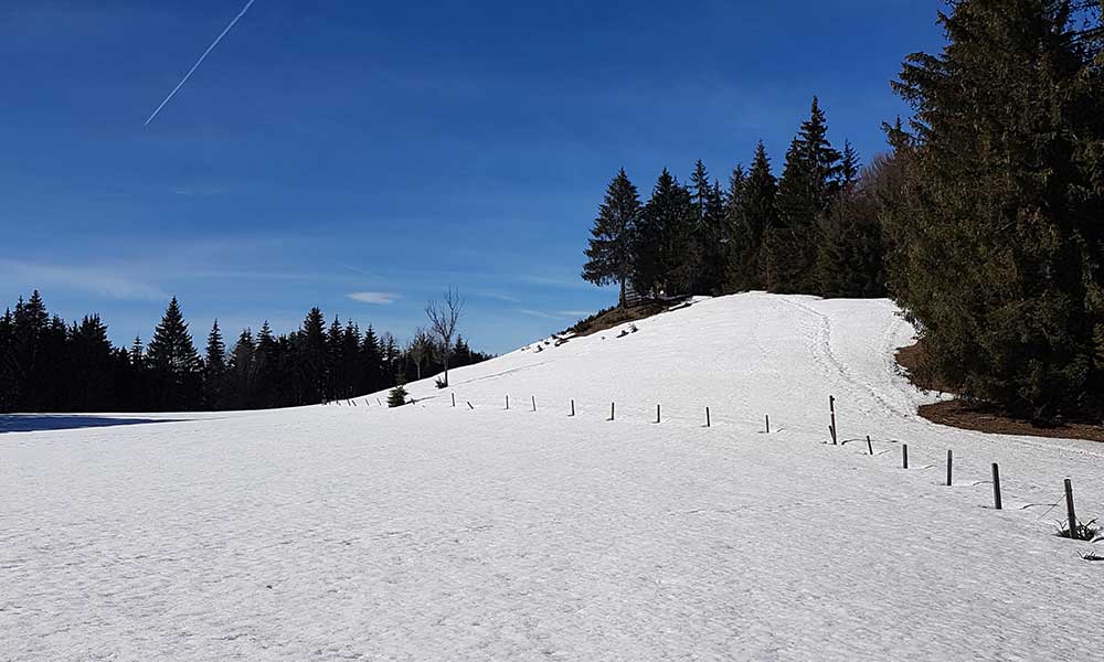 Freienstein