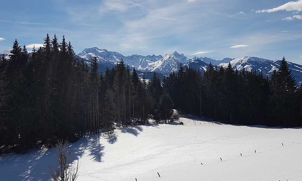 Freienstein