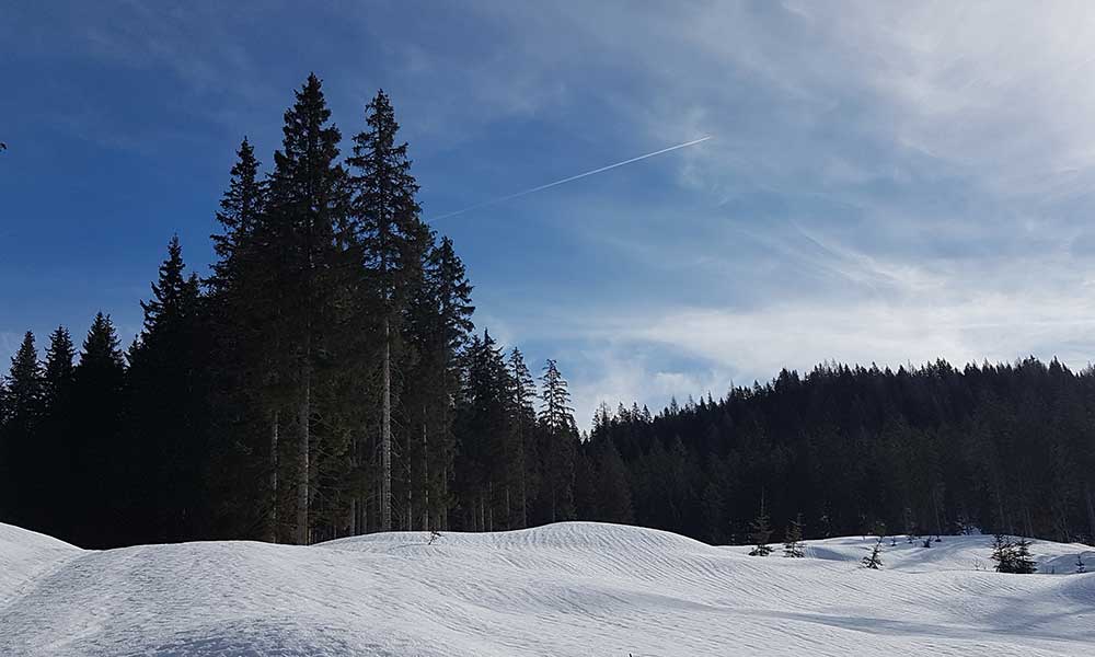 zellerkogel