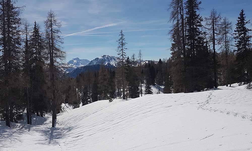 zellerkogel