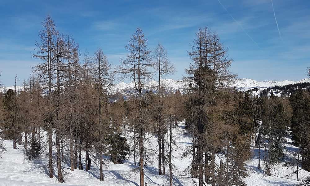 zellerkogel