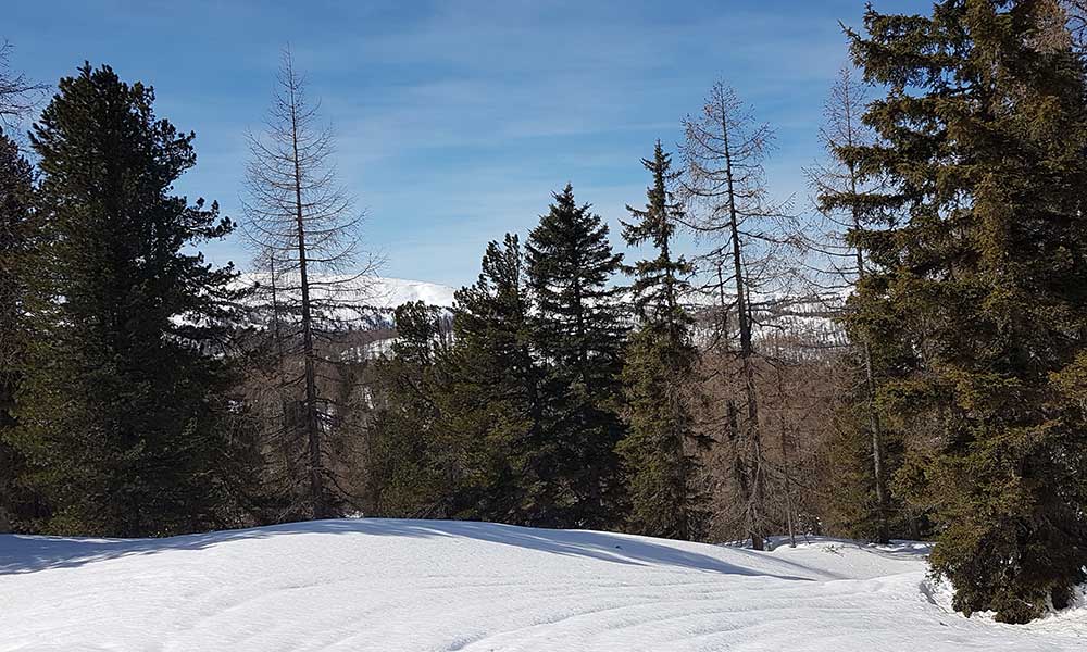 zellerkogel