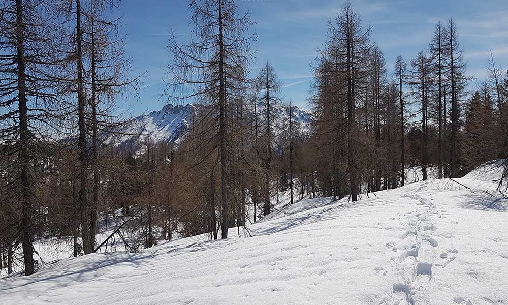 zellerkogel