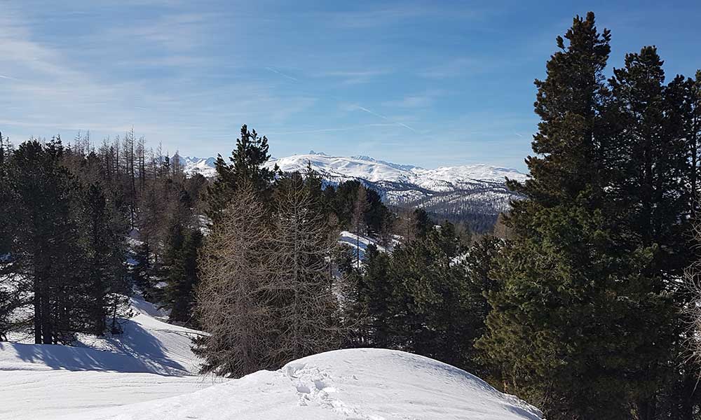 zellerkogel