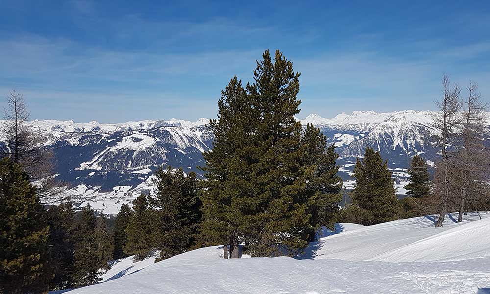 zellerkogel