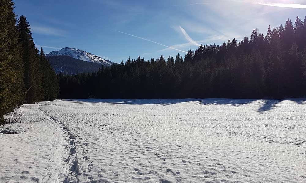 zellerkogel