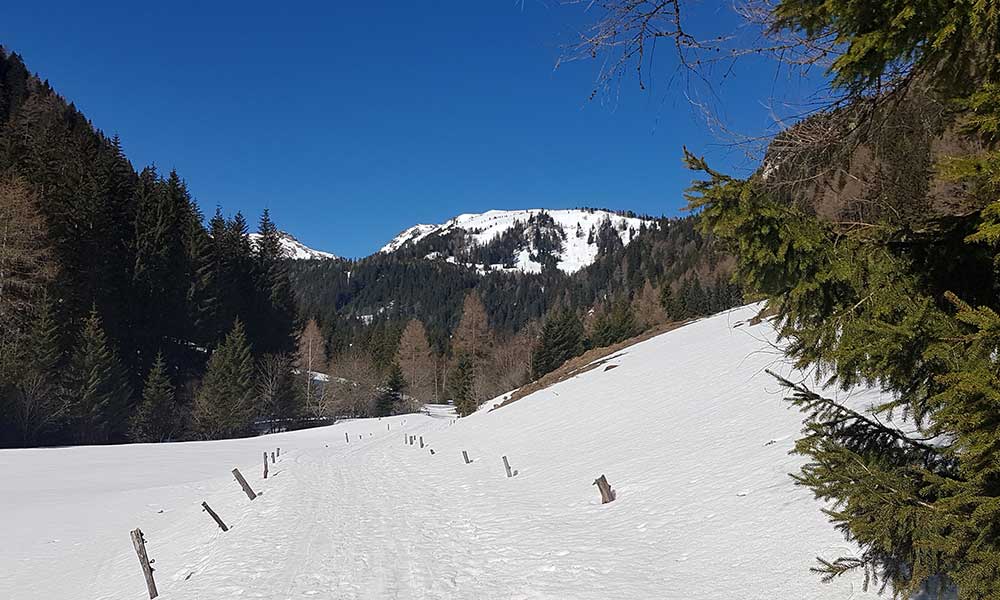 Hühnerkogel