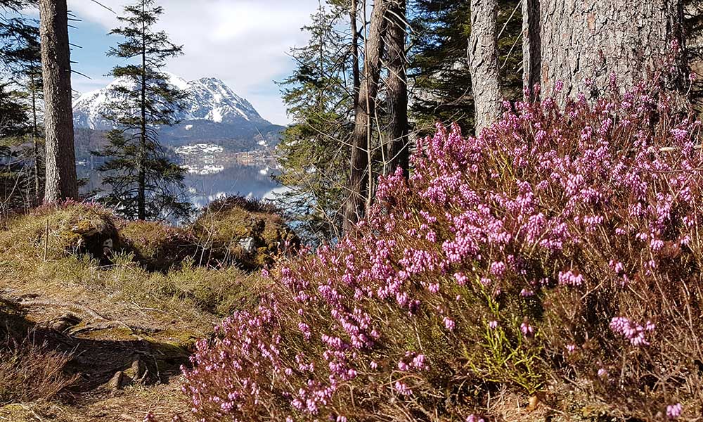 Altaussee