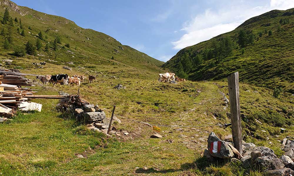 Hochkreuzspitze