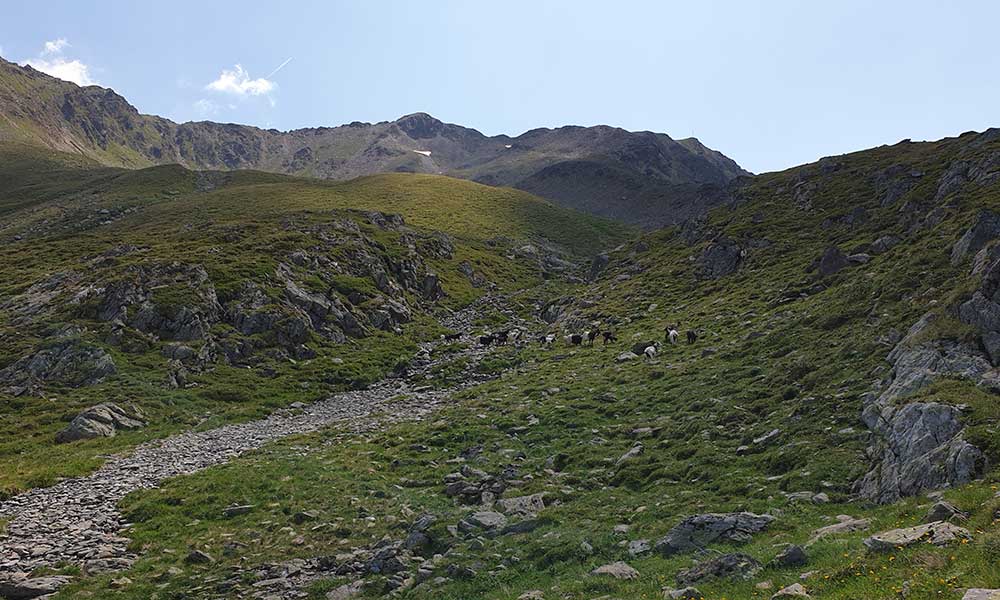 Hochkreuzspitze