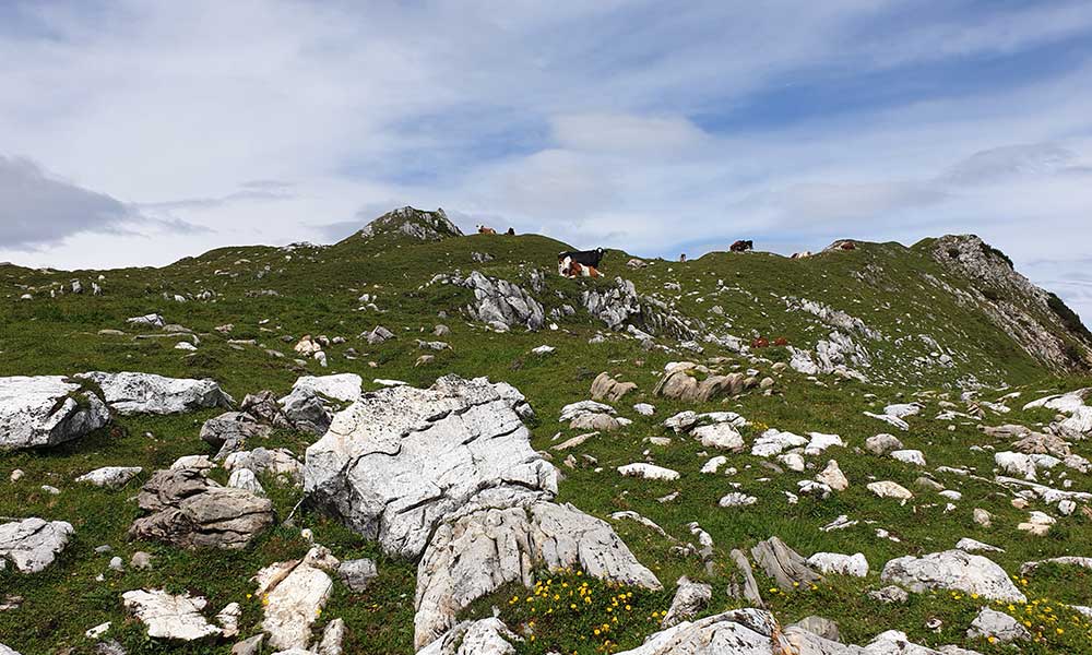 Großwandspitze