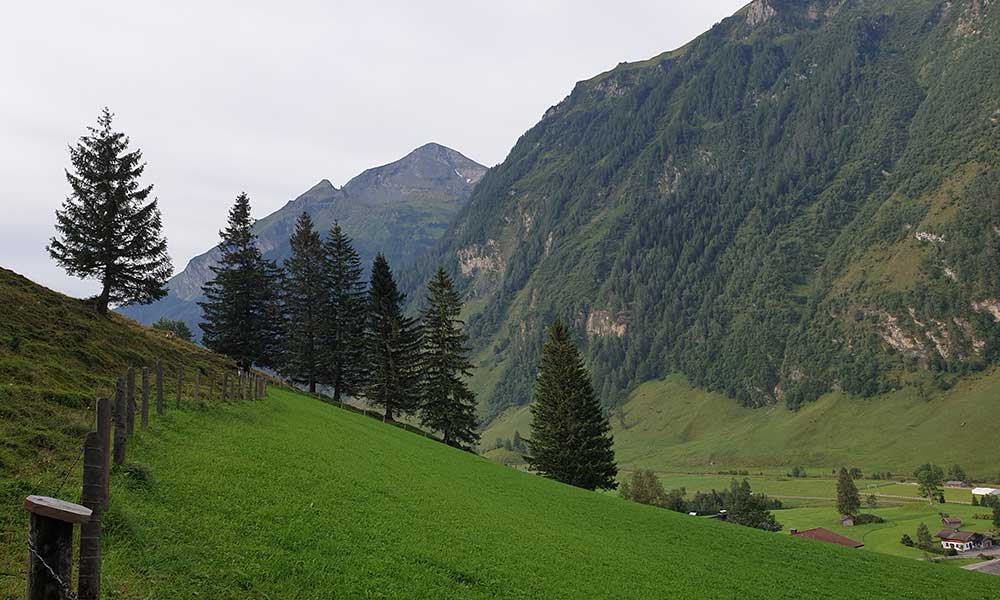 Kalkbretterkopf