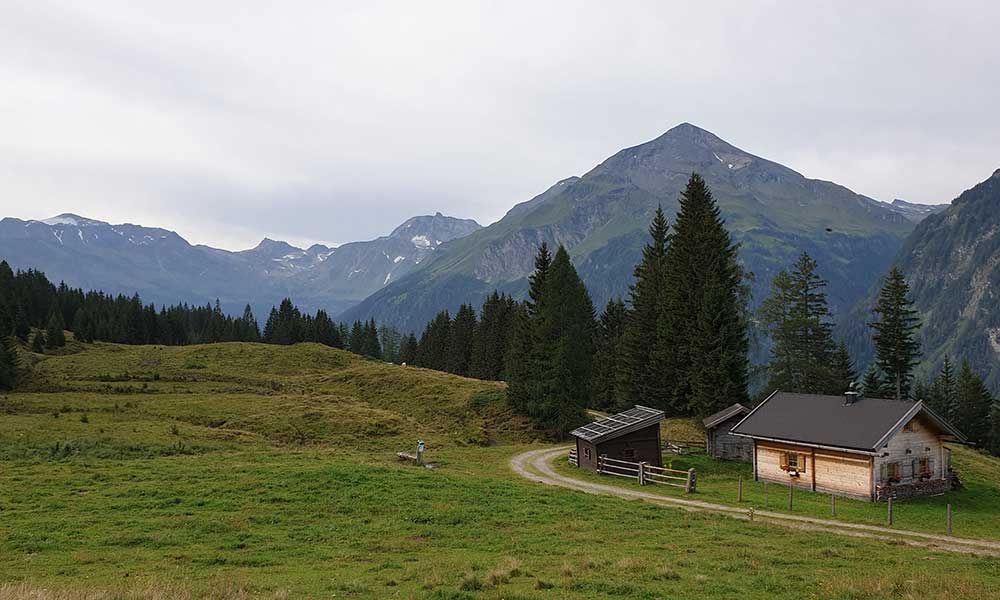 Kalkbretterkopf