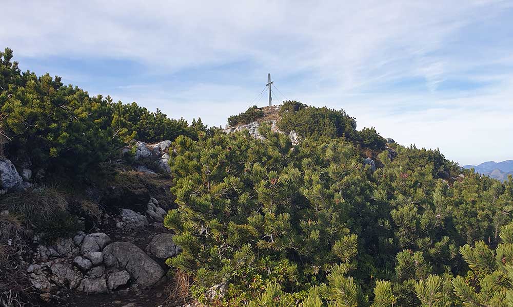 Stubwieswipfel