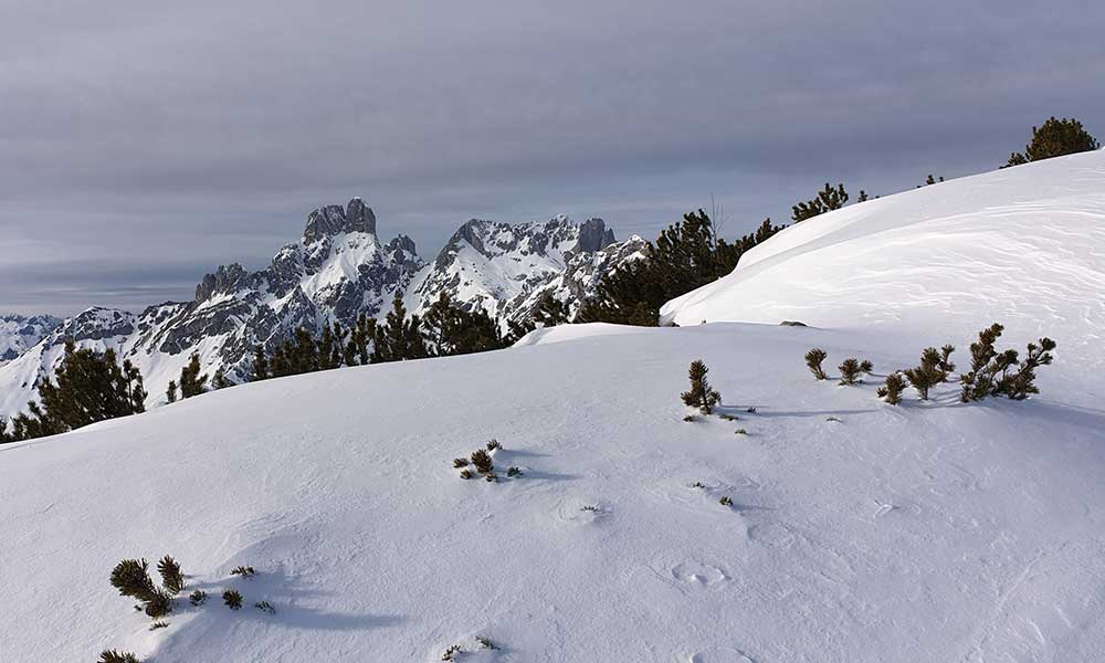 Sulzenschneid