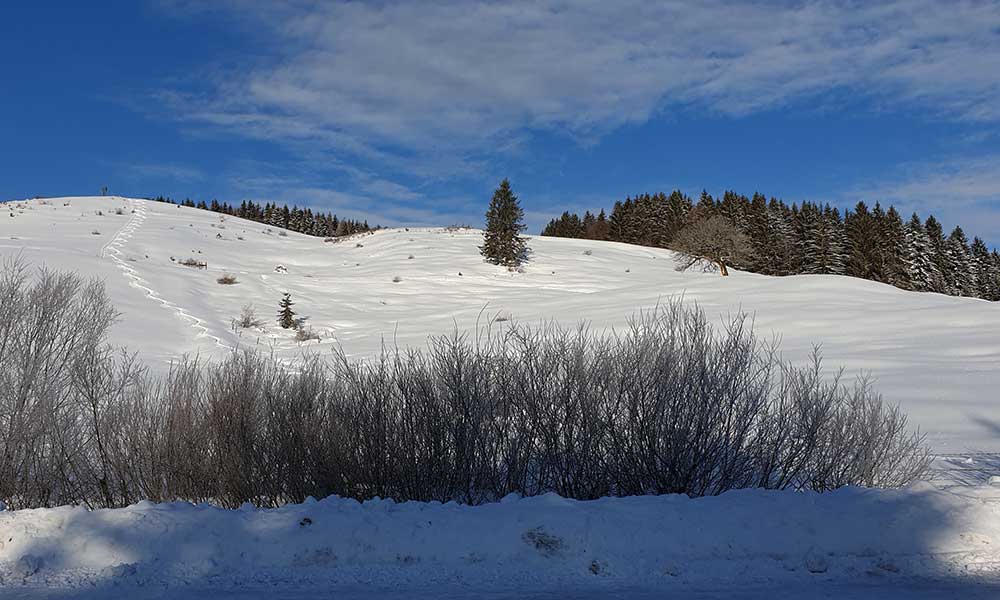 Wandlkogel