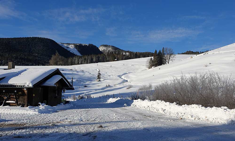 Wandlkogel