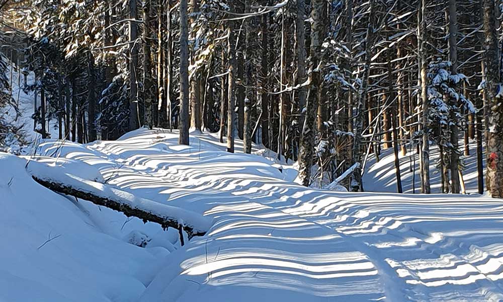 Wandlkogel