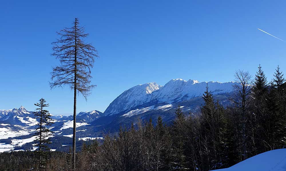 Wandlkogel