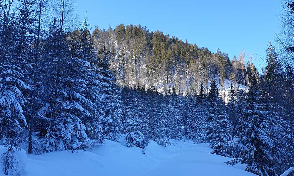 Wandlkogel