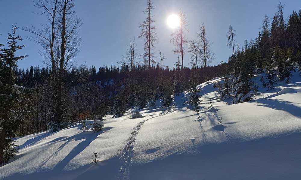 Wandlkogel