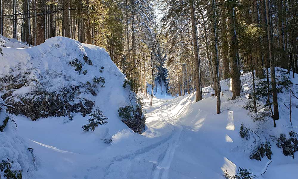 Wandlkogel