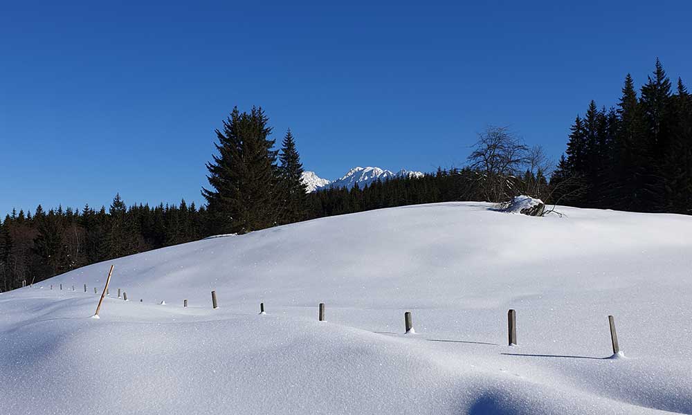 Wandlkogel